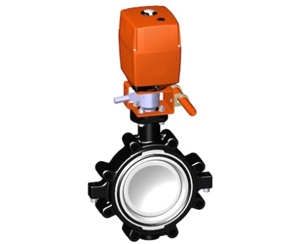 電動(dòng)蝶閥，24V 帶手動(dòng)手柄、+GF+電動(dòng)蝶閥 電動(dòng)塑料蝶閥